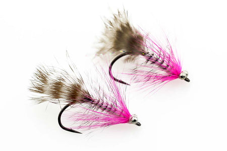 You added <b><u>Polar Magnus - Size 6</u></b> to basket.