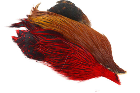 You added <b><u>4B Whiting Rooster Cape - Brown/Red</u></b> to basket.