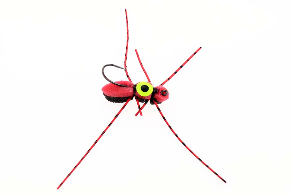 Skumbillen med øje - Red