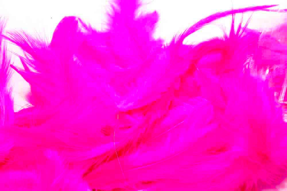 Metz Soft hackles - Fl. Fuchsia