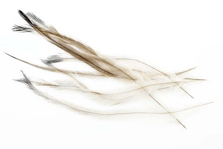 You added <b><u>Nandu feathers</u></b> to basket.