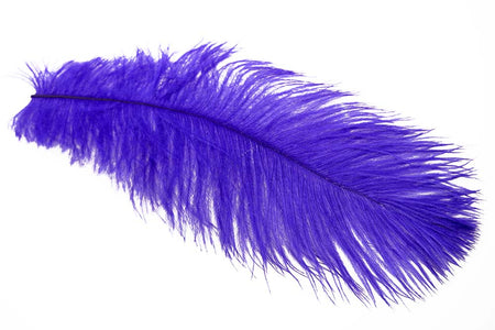 You added <b><u>Xl Ostrich Herl - Purple</u></b> to basket.