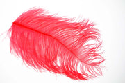 XL Struds Herl - Red