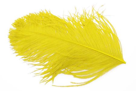 You added <b><u>Xl Ostrich Herl - Yellow</u></b> to basket.