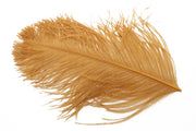 XL Struds Herl - Ginger