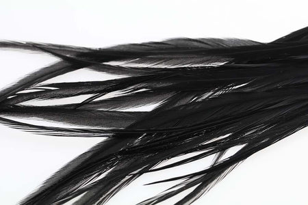 You added <b><u>Selected Pike Saddle Feather - Black</u></b> to basket.