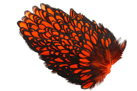 You added <b><u>Whiting American Hen Saddle Black Laced - Orange</u></b> to basket.