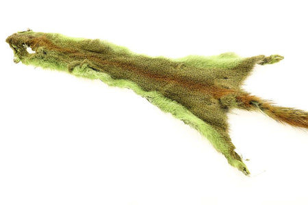 You added <b><u>Flyco Golden Squirrel - Chartreuse</u></b> to basket.