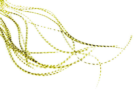 You added <b><u>Whiting 100 Pack - Grizzly Olive size 16</u></b> to basket.
