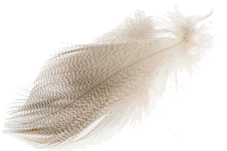 You added <b><u>Mallard Barred Flank - Nature</u></b> to basket.
