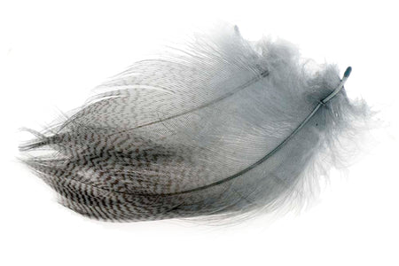 You added <b><u>Mallard Barred Flank - Down</u></b> to basket.