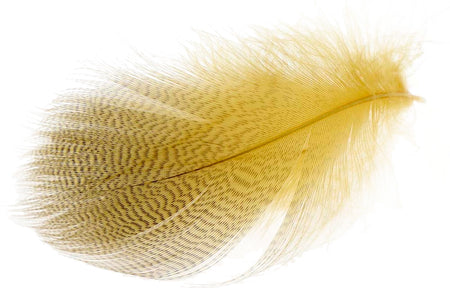 You added <b><u>Mallard Barred Flank - Dyed Woodduck</u></b> to basket.