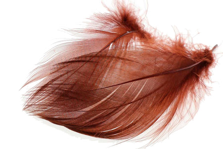 You added <b><u>Mallard Barred Flank - Rusty Brown</u></b> to basket.
