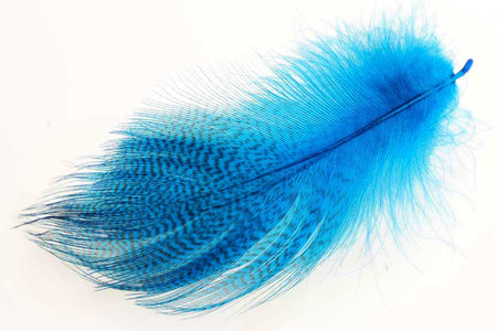 You added <b><u>Mallard Duck Wing Large Selected - Peacock Blue</u></b> to basket.