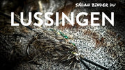 The Lussing