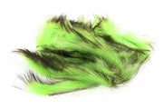 Micro Pulsator Rabbit Strips - Black/Chartreuse