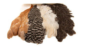 Introductory Soft Hackle Pack - 2 Half Capes/2 Half Saddles
