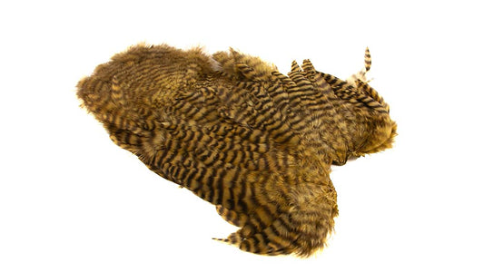 You added <b><u>Whiting Rooster Softhackle W Chickabou SH/C Grizzly dyed Golden Olive</u></b> to basket.