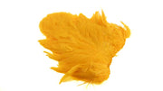 Whiting Rooster Softhackle W Chickabou SH/C White dyed Golden Yellow