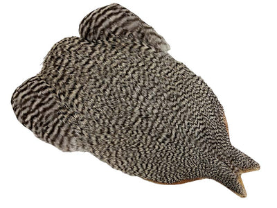 You added <b><u>4B Whiting Rooster Cape - Grizzly</u></b> to basket.
