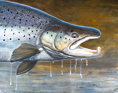 You added <b><u>Thomas Weiergang original 58 x 45 - Seatrout Buck </u></b> to basket.