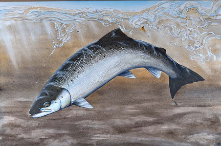 You added <b><u>Thomas Weiergang original 61 x 41 - Spring Salmon</u></b> to basket.