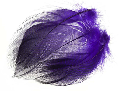 You added <b><u>Teal Barred Flank - Purple</u></b> to basket.