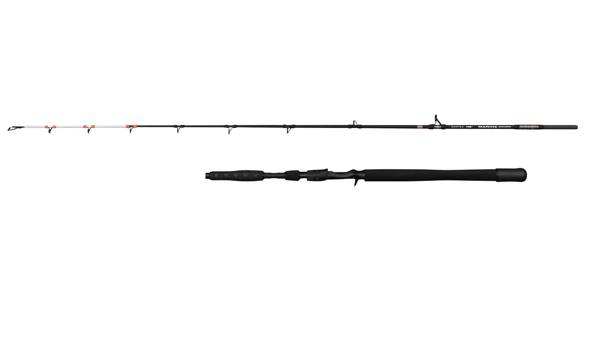 PENN Marine Brigade Dentex with the rod sections shown separated, white tip, orange wraps and black grip.