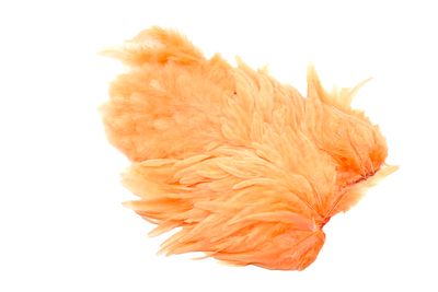 You added <b><u>Whiting Rooster Softhackle W Chickabou SH/C White dyed Salmon</u></b> to basket.