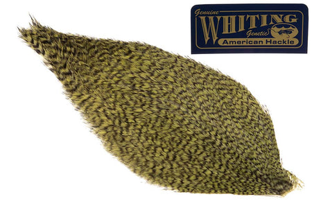 You added <b><u>Whiting American Rooster Cape - Grizzly Dark Olive</u></b> to basket.