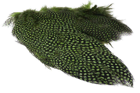 You added <b><u>Whiting Guinea Wing - Chartreuse</u></b> to basket.