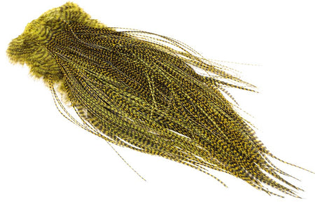 You added <b><u>(Pro Grade) Whiting Red Label Saddle - Grizzly Golden Olive</u></b> to basket.