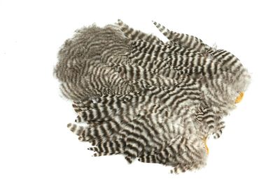 You added <b><u>Whiting Rooster Softhackle W Chickabou SH/C - Grizzly</u></b> to basket.